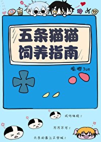 五条猫壁纸