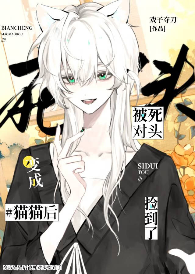猫猫是不可以变成死对头的小说