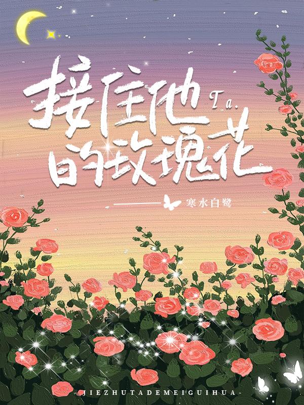 接住他的玫瑰花小说