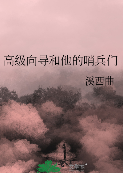 高级向导的小说