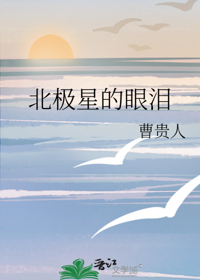 北极星的眼泪是哪一年