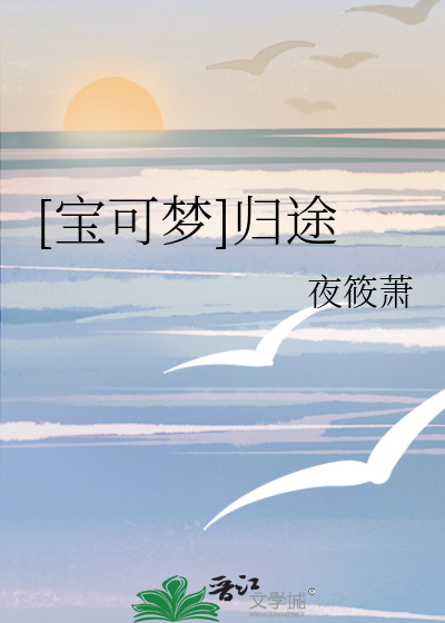 宝可梦旅途动画