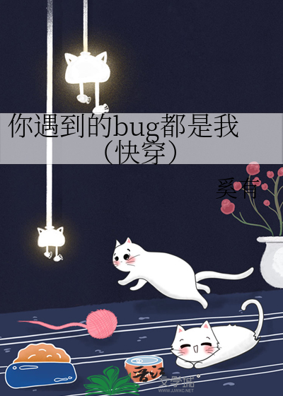 遇到了bug