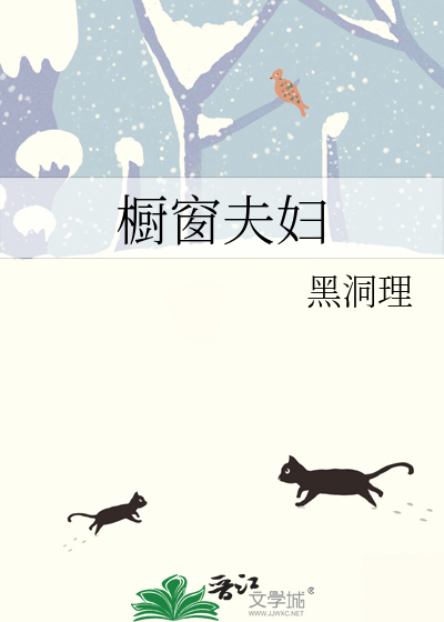 橱窗夫妇韩剧在线观看